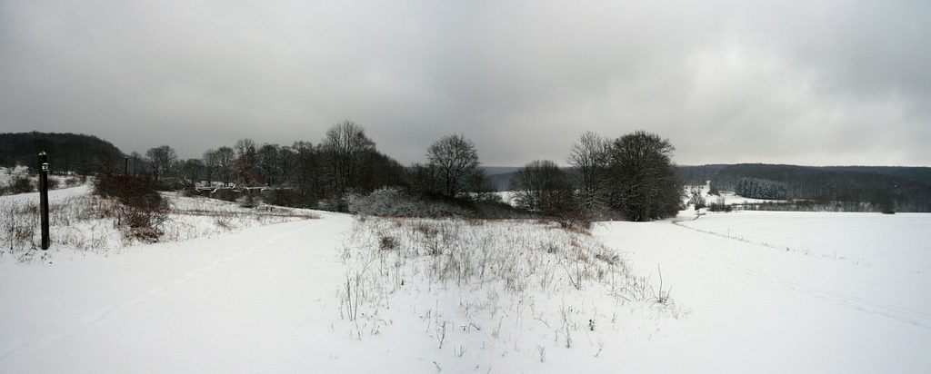 1200px-KerstlingeroederFeldWinter